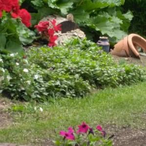 Meet your Posher, Joanne